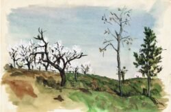 Castrocaro, March 1945
Courtesy USHMM