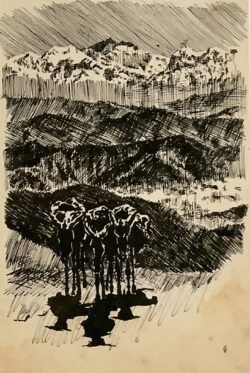 Donkeys in Kyrgyzstan, February 1942
From Polish soldier's magazine "Uwaga Nadchodzi"
Courtesy USHMM