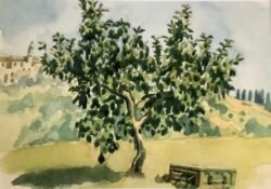 Italy
Courtesy David Holzman