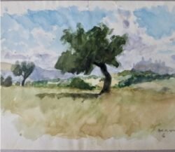 Castello, 13 September 1944