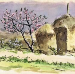 Castrocaro, March 1945