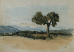 Italy
Courtesy of David Holzman