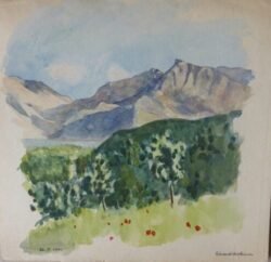 Monte Cassino, 26 May 1944.
Courtesy of David Holzman